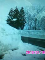 新潟　雪2