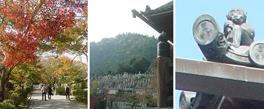 近江・坂本（３） 西教寺 光秀と護猿の寺 | 旅蛙のメモリー - 楽天ブログ