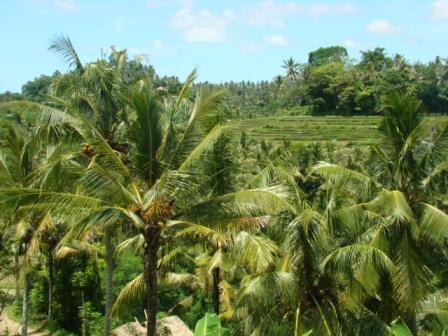 view of country side