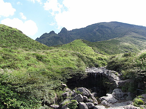 IMG_1462.jpg