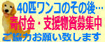 ４０匹ワンコのその後…４０匹ワンコ達の未来のための活動です。