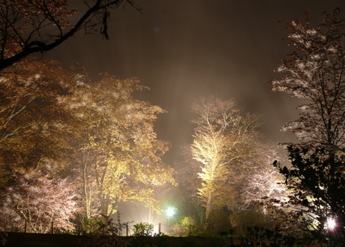 夜間照明ー３.JPG