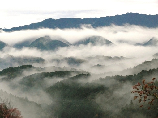 朝霧の山々８.JPG