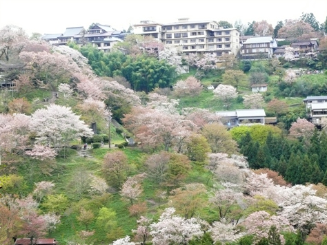縮小如意輪寺４.JPG