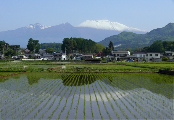 浅間の雪化粧.JPG