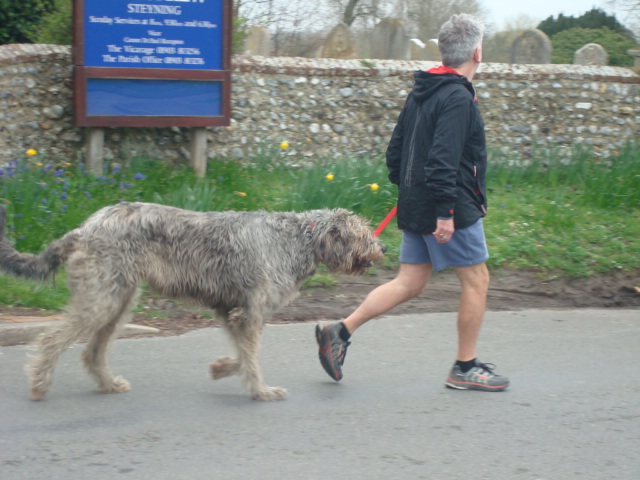 steyning2.jpg