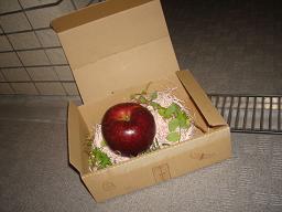 apple.JPG