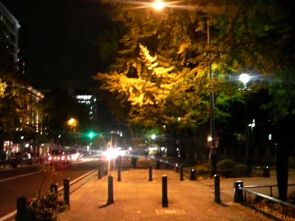 横浜夜散歩８.jpg