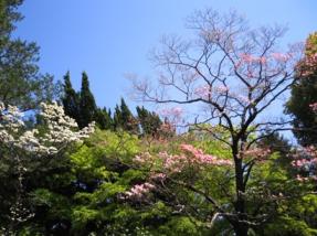 IMG_5404.JPG