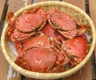 南保留太郎商店