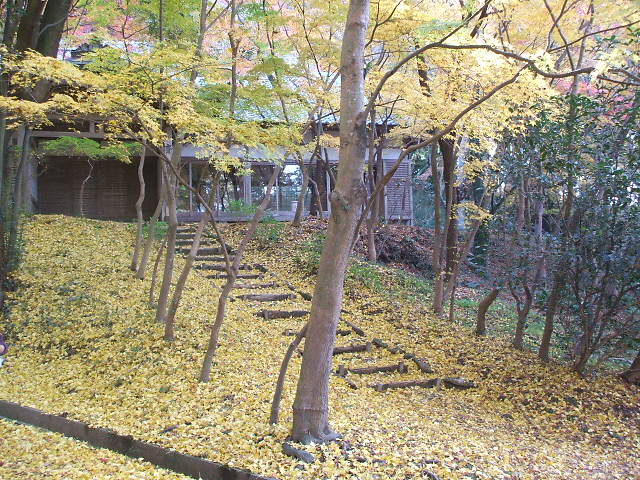 2008_11_30 002.jpg