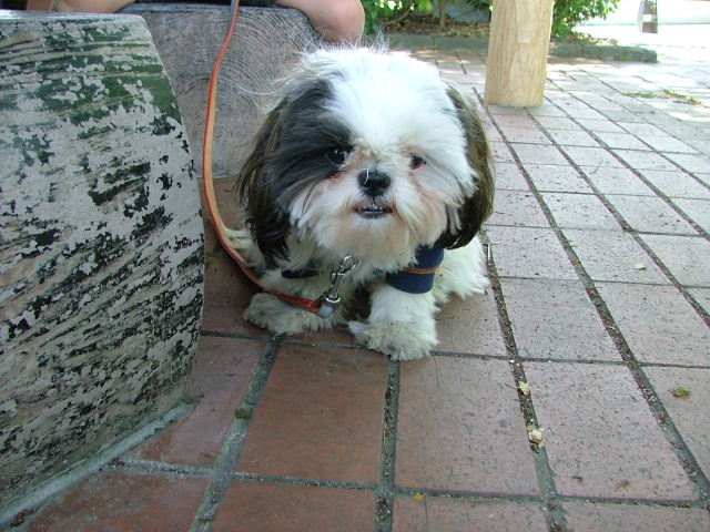 DSCF0192.JPG