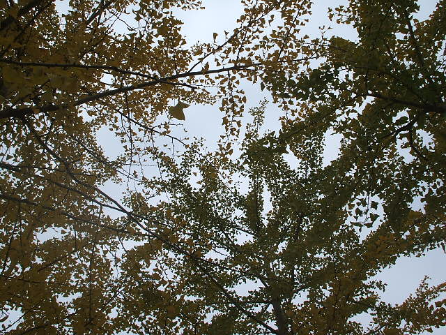 画像 006.jpg
