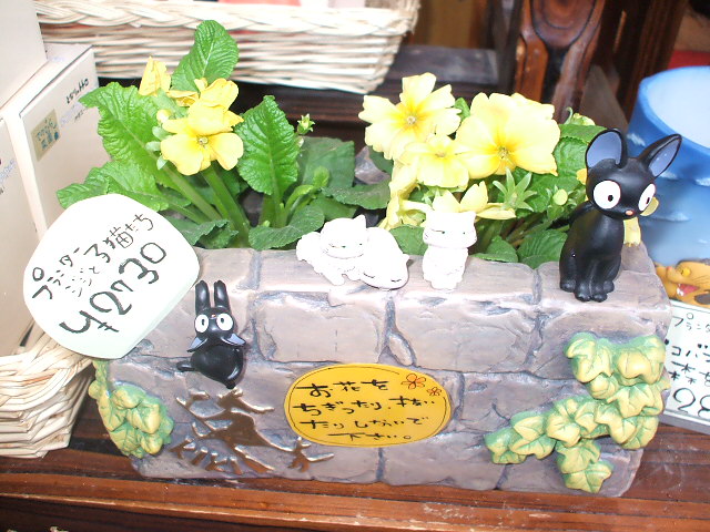 2009_2_22 014.jpg