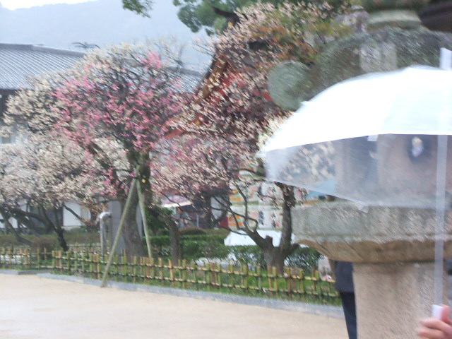 2009_2_22 007.jpg