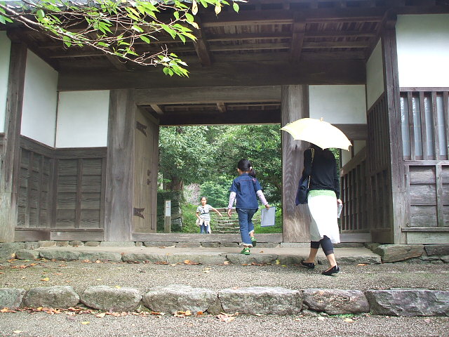 DSCF0545.JPG