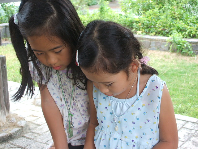 DSCF0505.JPG