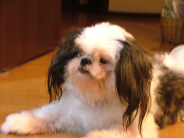 DSCF0354.JPG