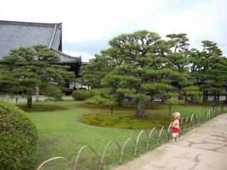 DSC00706.jpg