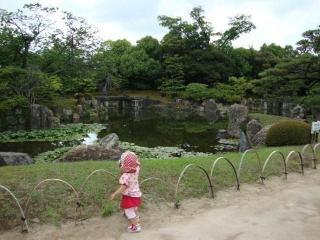 DSC00708.jpg
