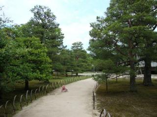 DSC00714.jpg
