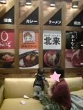2009-01-12 00:28:42