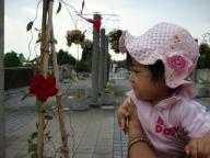 DSC00179.jpg
