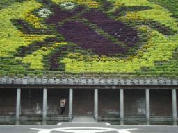 DSC00201.jpg