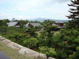 DSC00718.jpg