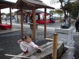 DSC08896.jpg
