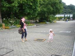 DSC06546.jpg
