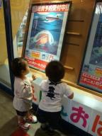 DSC00774.jpg