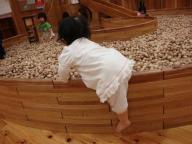 DSC00131.jpg
