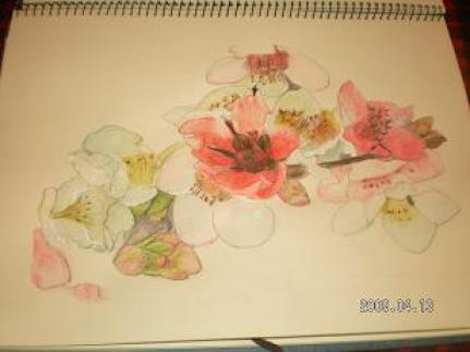 2009-04-13 13:25:41