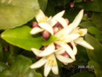 2009-05-01 09:50:47