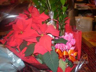 2008-11-12 19:24:32