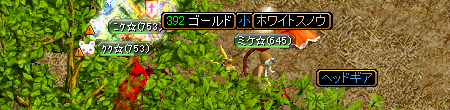 29　ホワイトスノウ.PNG
