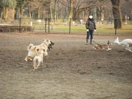代々木公園