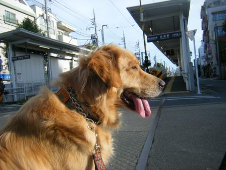 朝の散歩（駅）