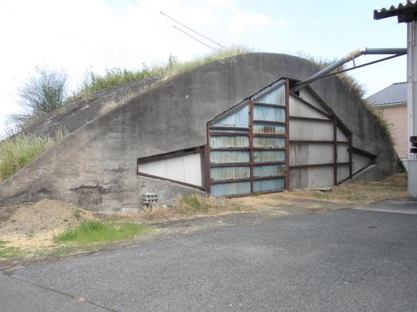 掩体壕　(城井1号掩体壕より　少し離れた場所にある)