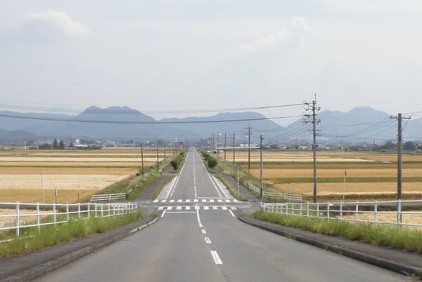 宇佐海軍航空隊　滑走路跡