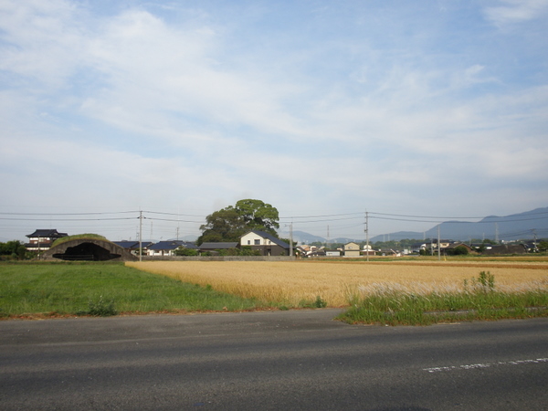 掩体壕　(正面と右側に　横向きになった　掩体壕1基が見える)