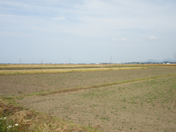 田畑が広がる宇佐平野　(旧滑走路脇より)