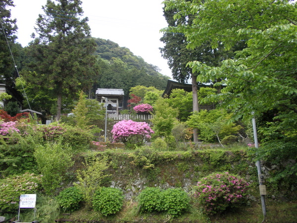 両子寺　新緑5月