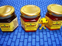 お土産の蜂蜜♪.jpg