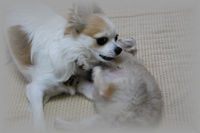 DSC_0018.jpg