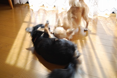 DSC_0040.jpg