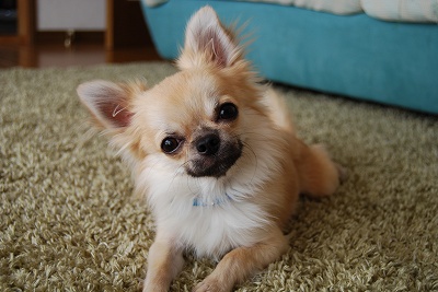 DSC_0058.jpg