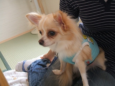 DSCF6398.jpg