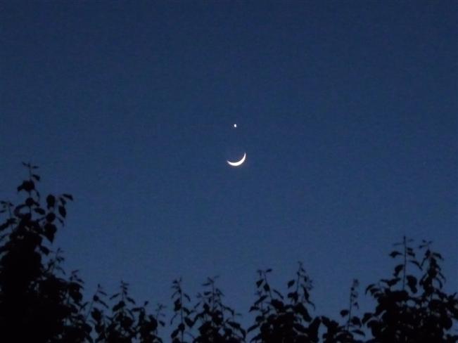 にこちゃんマーク？